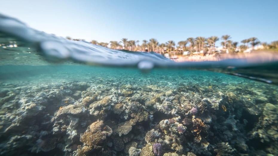 Four Seasons Resort Sharm El Sheikh Private Residential Villa & Chalet - Egypt Dış mekan fotoğraf